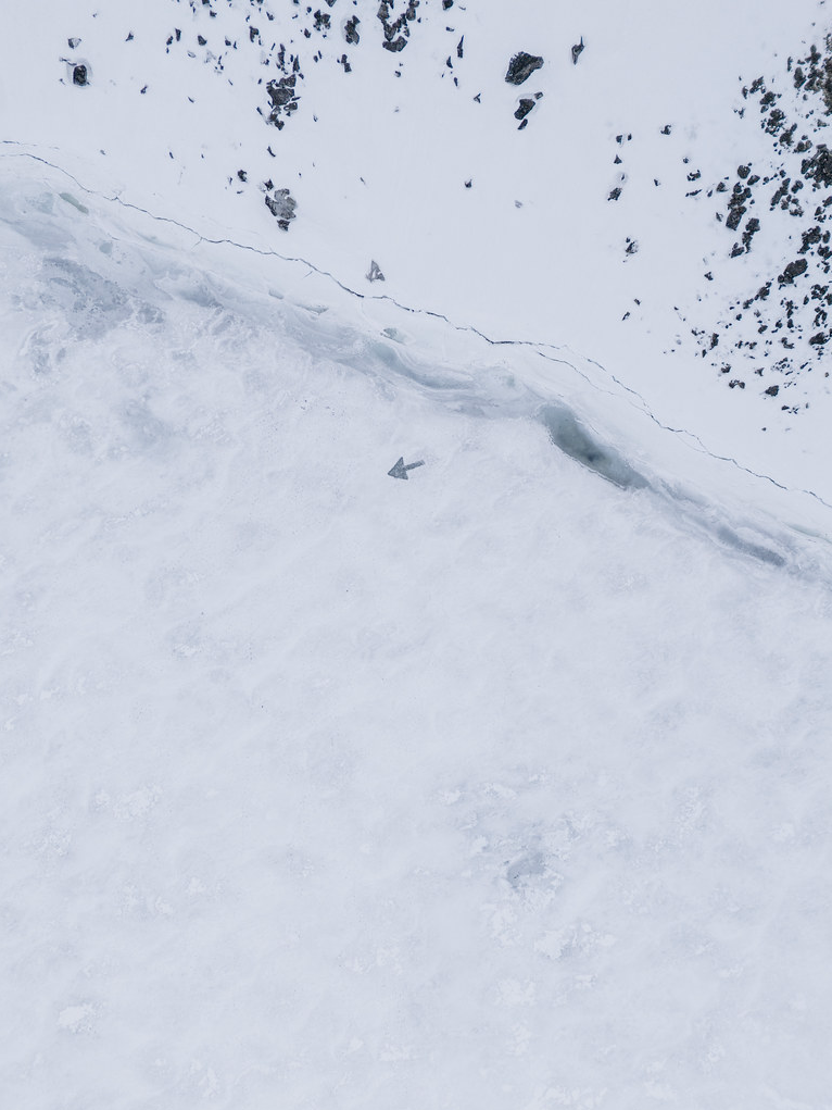Polar Direction